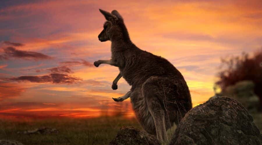 Advantages of Living in Australia Featured