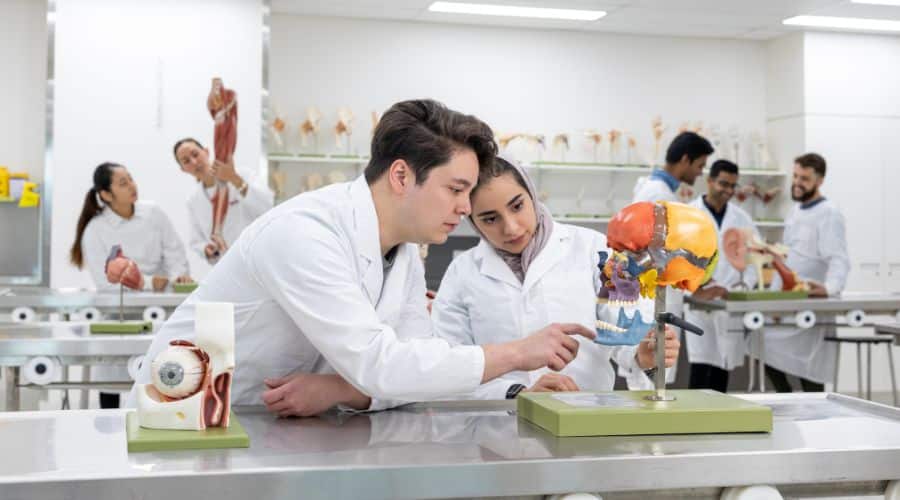 Top Universities in Australia